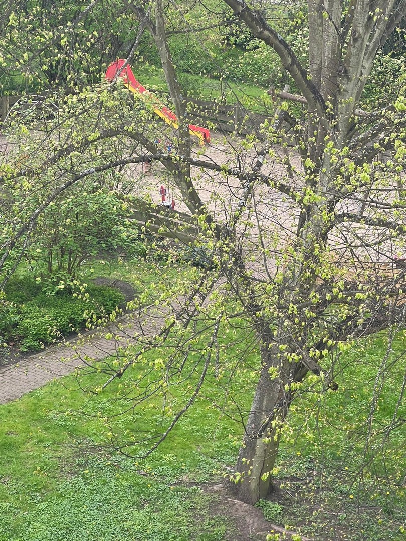 Property thumbnail 17