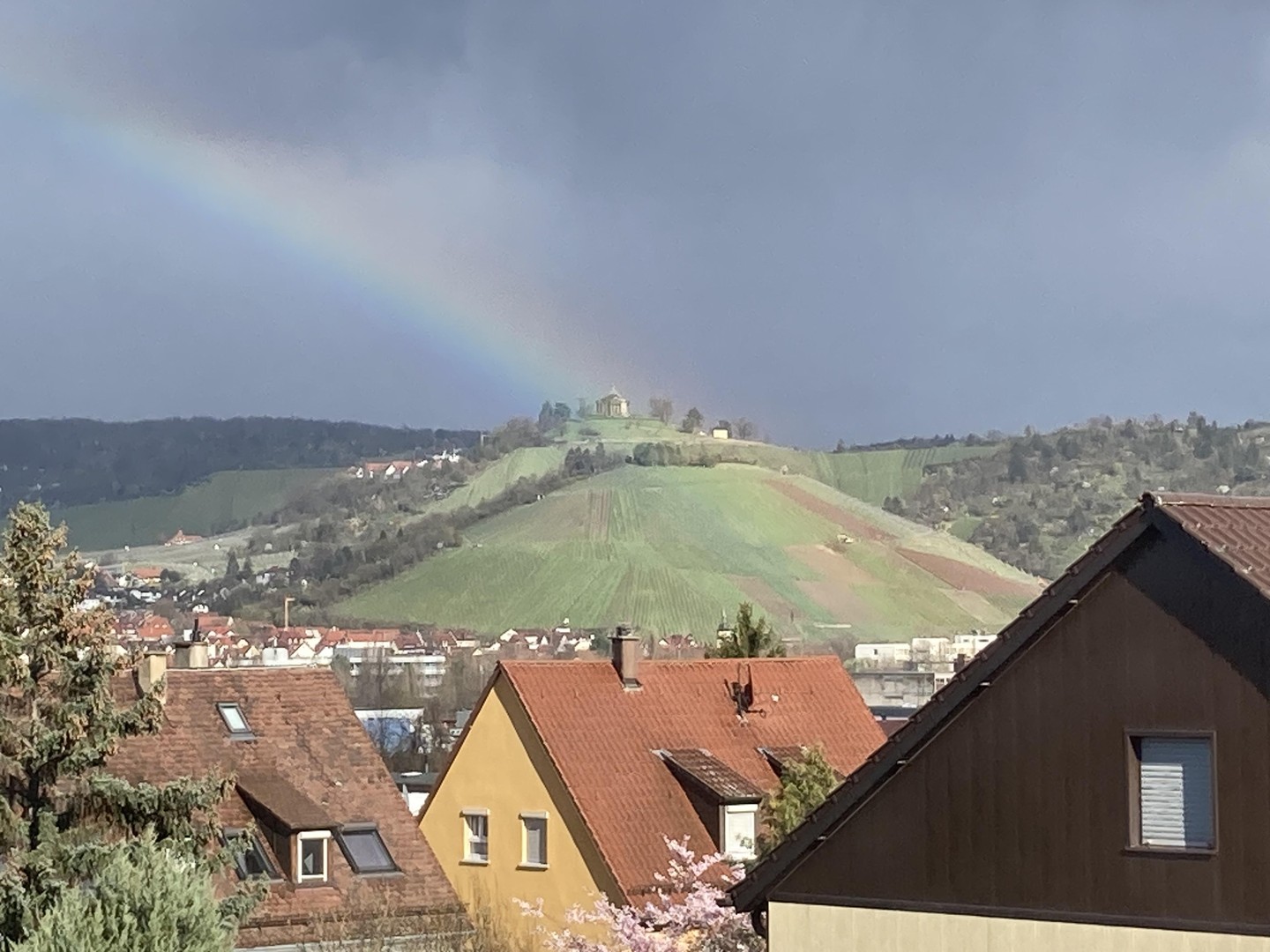 Property thumbnail 14