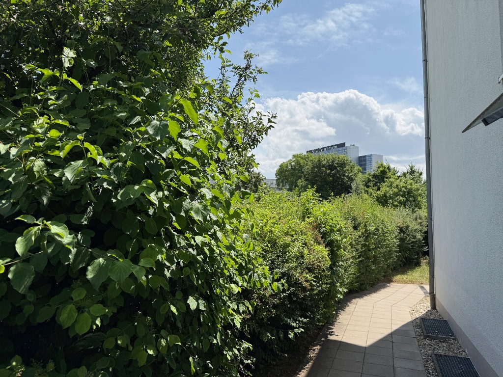 Property thumbnail 10