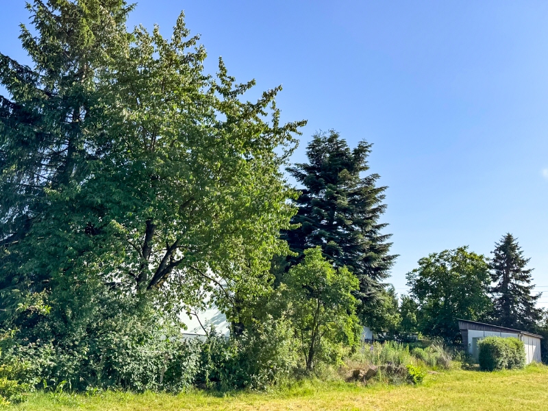 Der Stadt entfliehen – Ebersbach – Vorschaubild 3