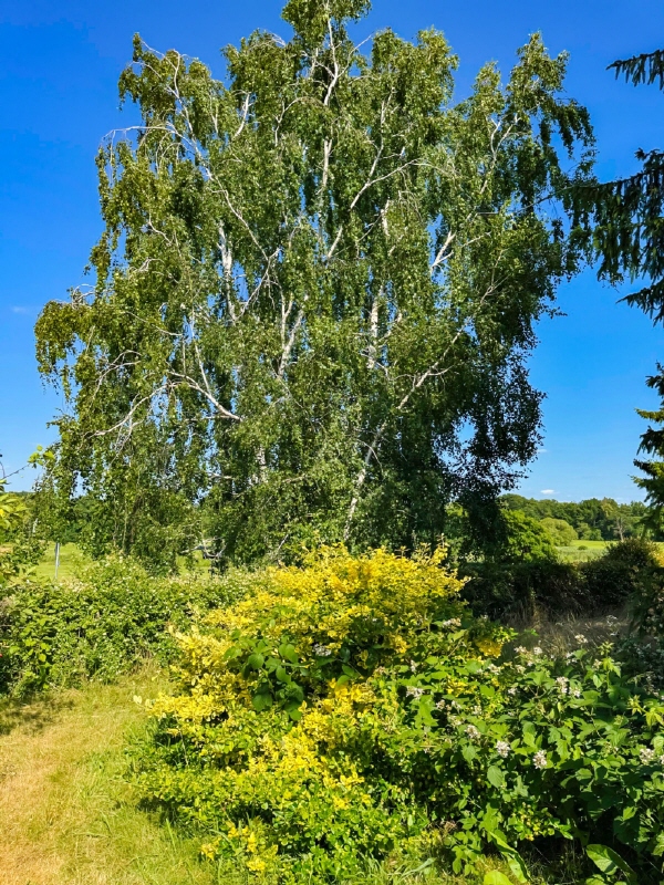 Der Stadt entfliehen – Ebersbach – Vorschaubild 13