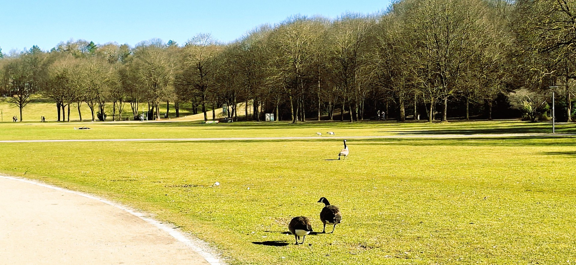 Property thumbnail 19