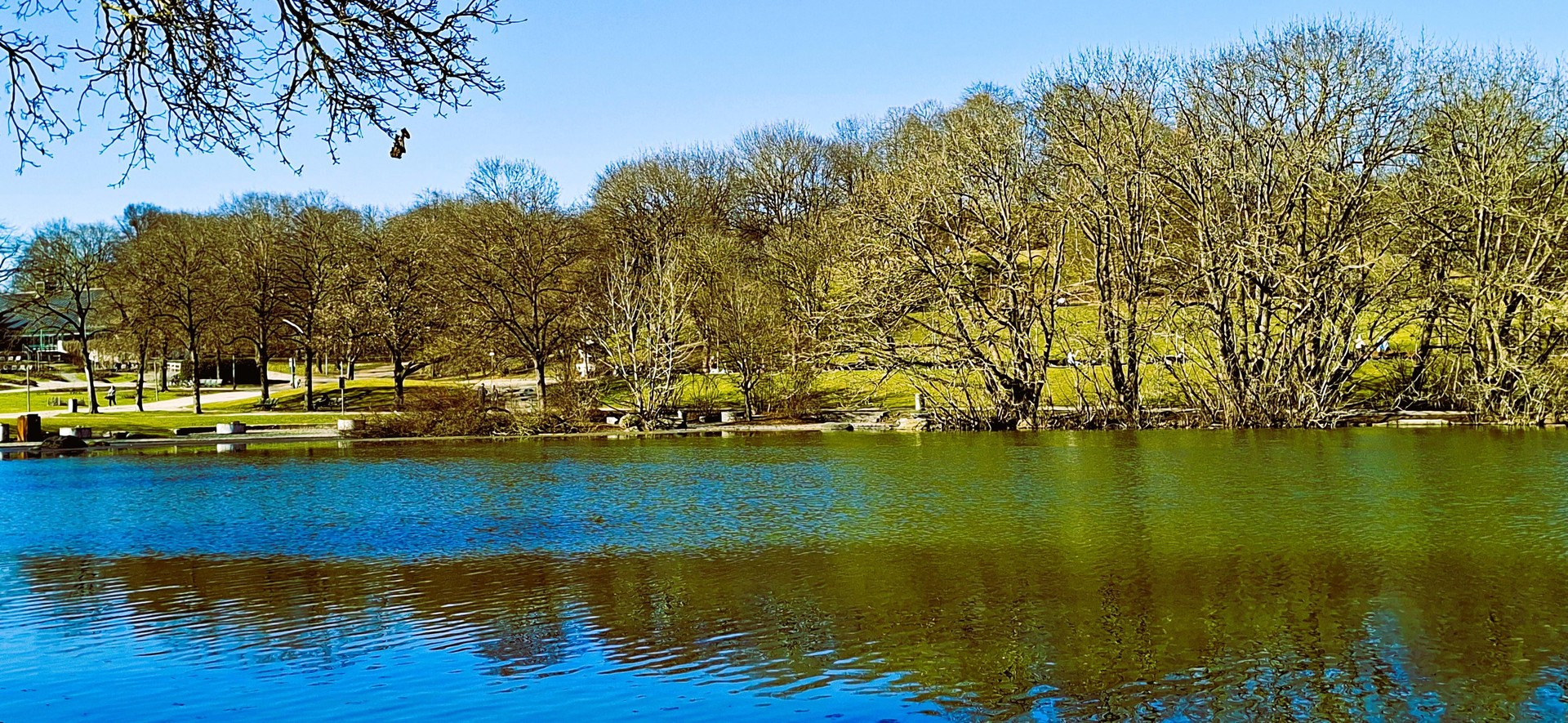 Property thumbnail 20