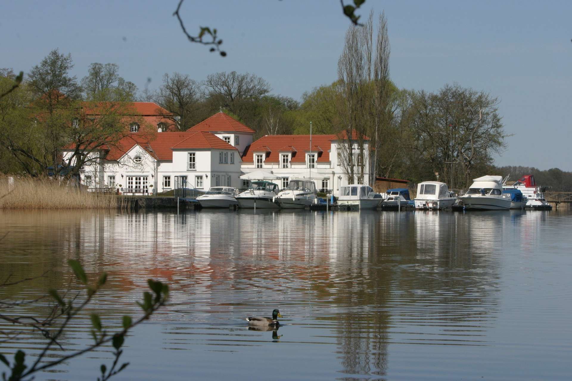 Private Seeresidenz am Ruppiner See – Raum für Familie, Freunde und besondere Momente – Wustrau – Vorschaubild 5