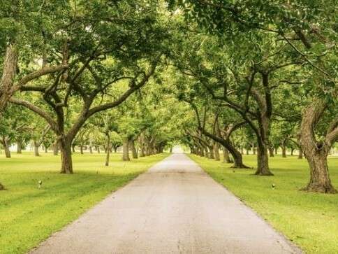 Property thumbnail 19