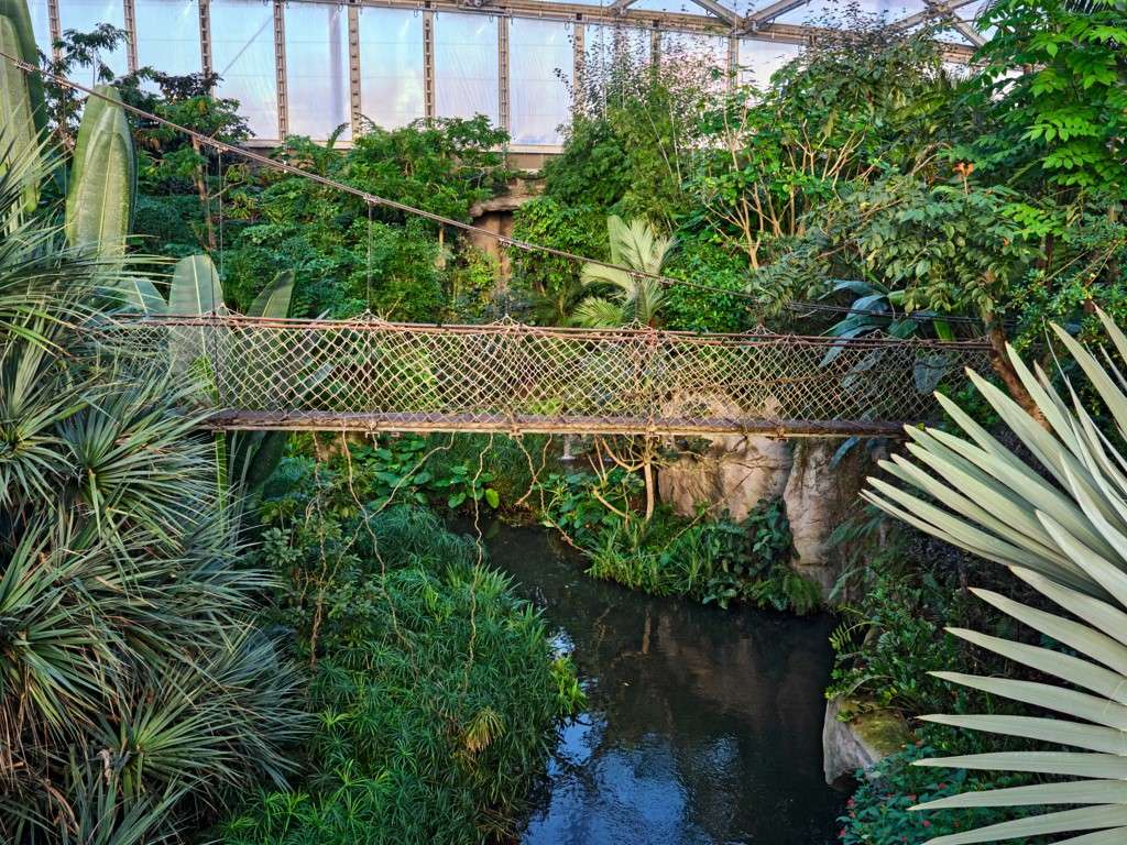 Property thumbnail 12