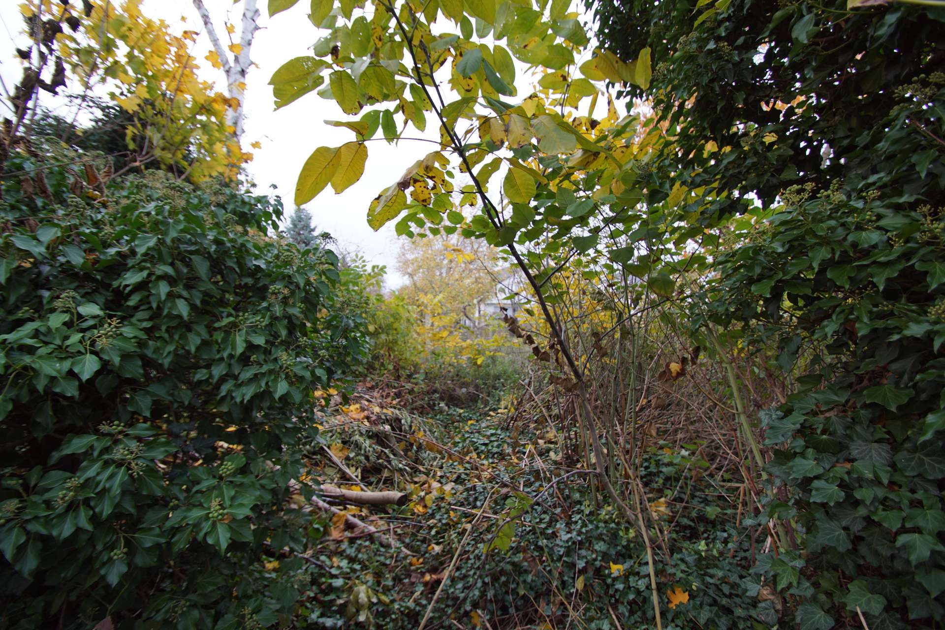 Property thumbnail 17