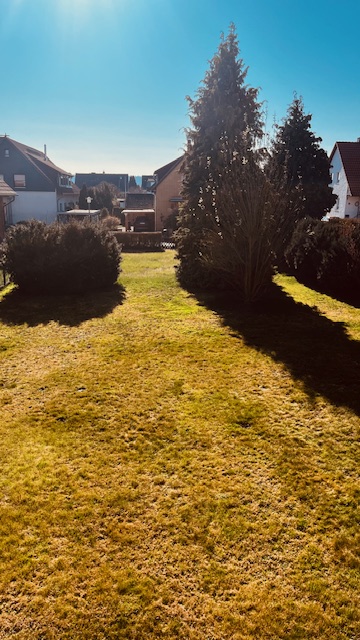 Immobilie in Sehlde - Provisionsfrei zum Eigenheim - Bild 2