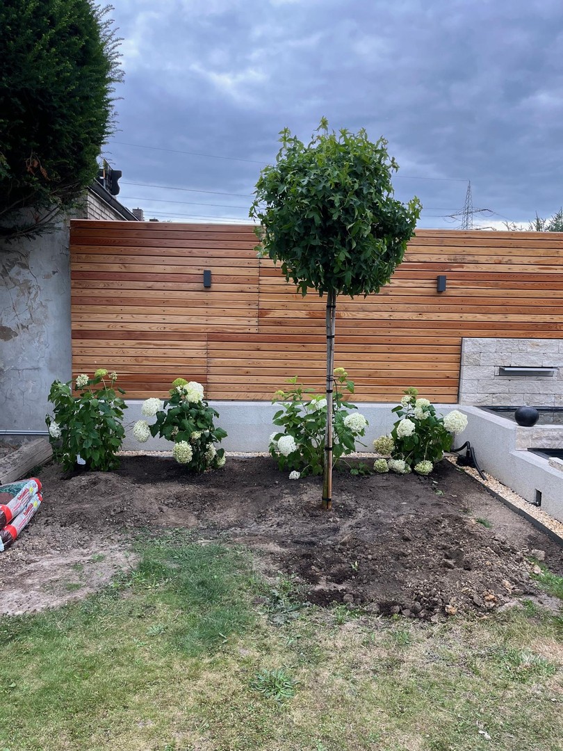 Property thumbnail 36