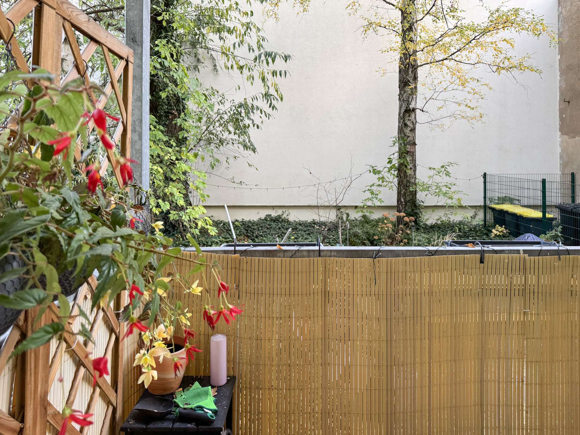 Property thumbnail 9