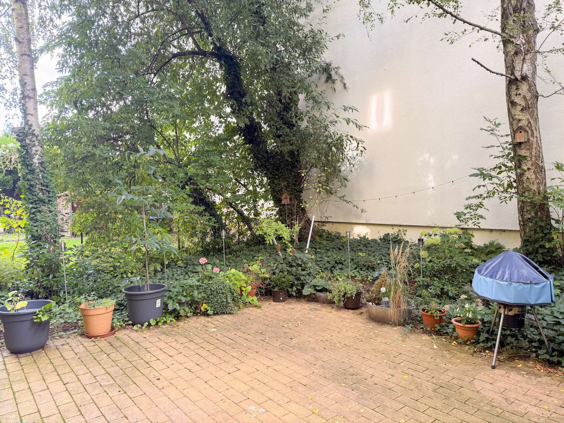 Property thumbnail 13