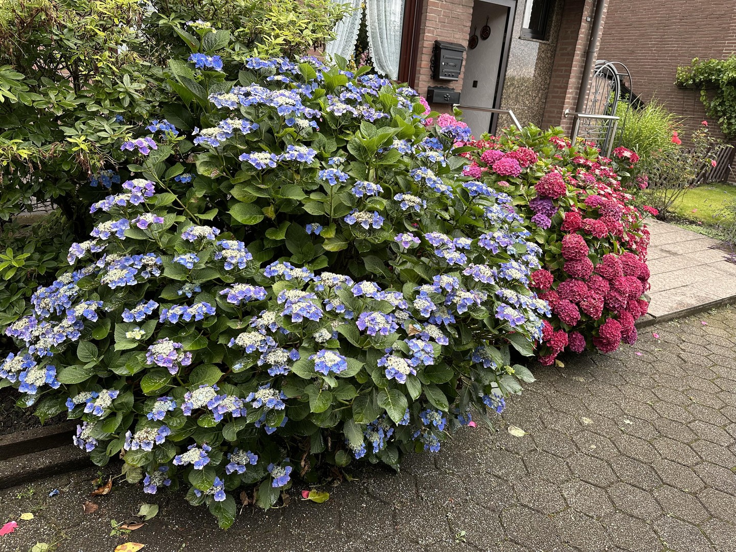 Property thumbnail 24