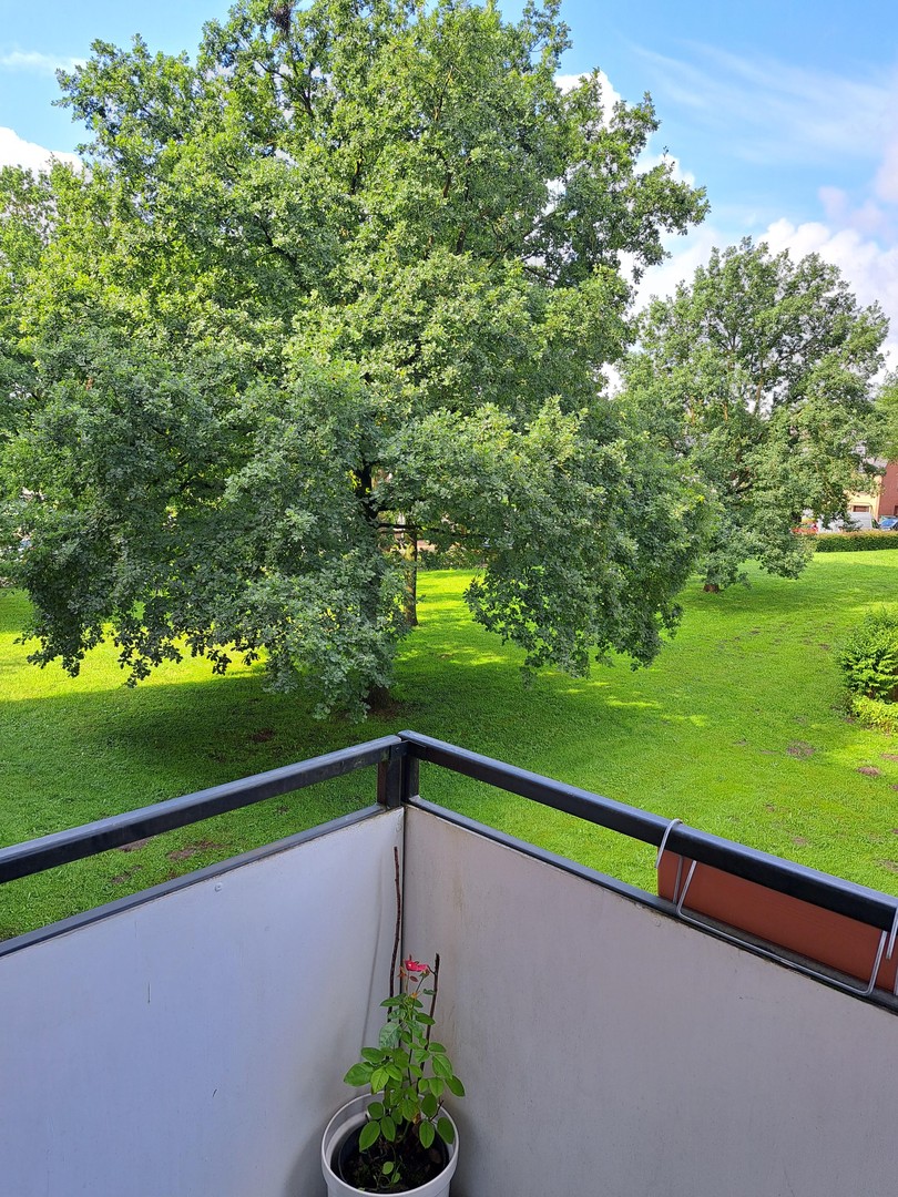 Property thumbnail 12