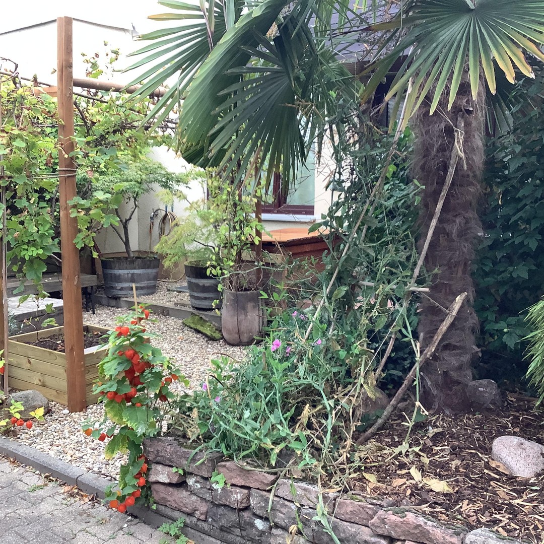 Property thumbnail 9