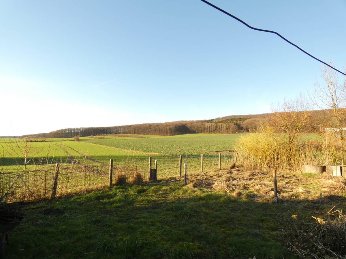 Solides Wohnhaus mit Garage und Gartenanteil in ruhiger Siedlungslage von Dissen aTW – Dissen am Teutoburger Wald – Vorschaubild 21