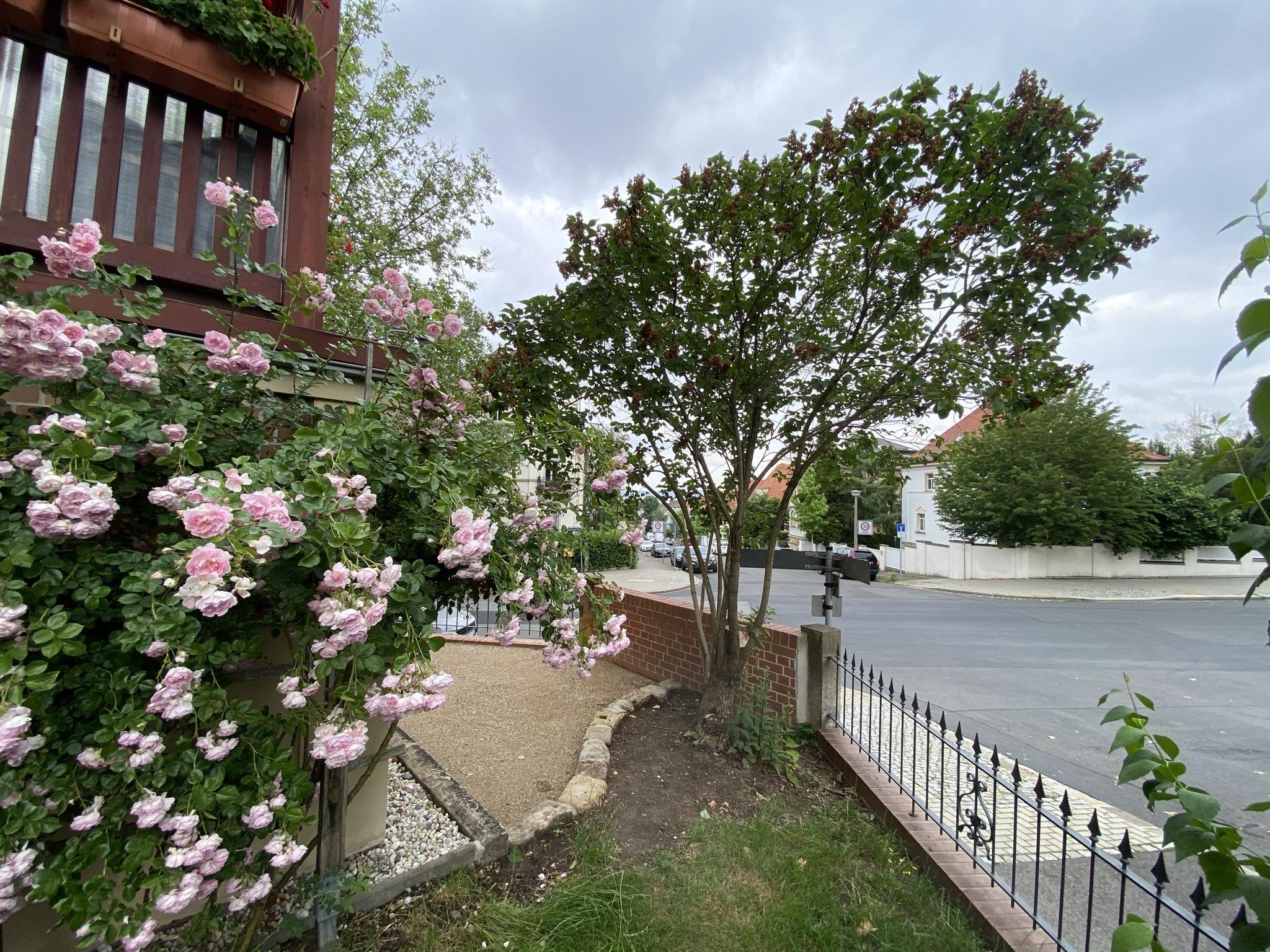 Property thumbnail 18