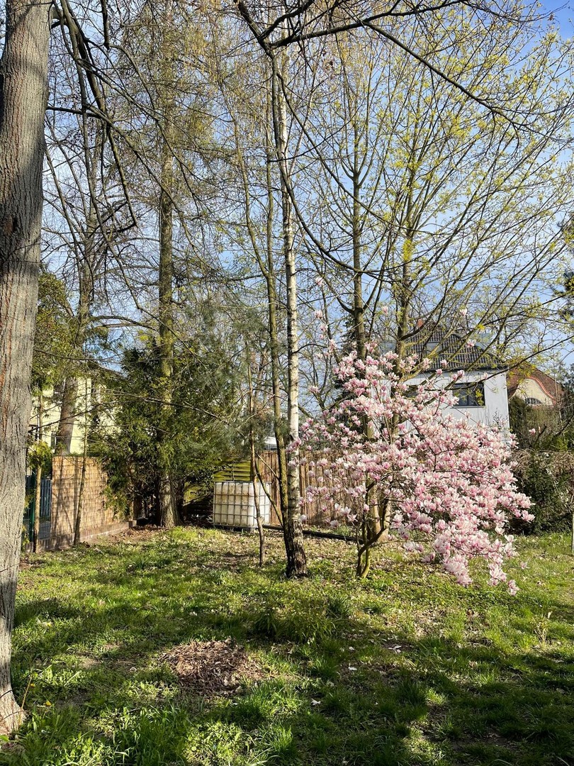 Property thumbnail 19