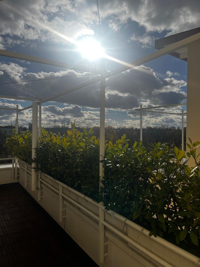 Property thumbnail 9