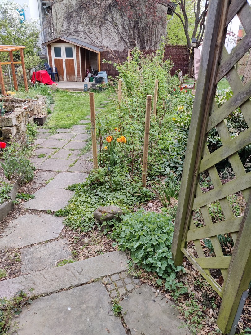 Property thumbnail 17