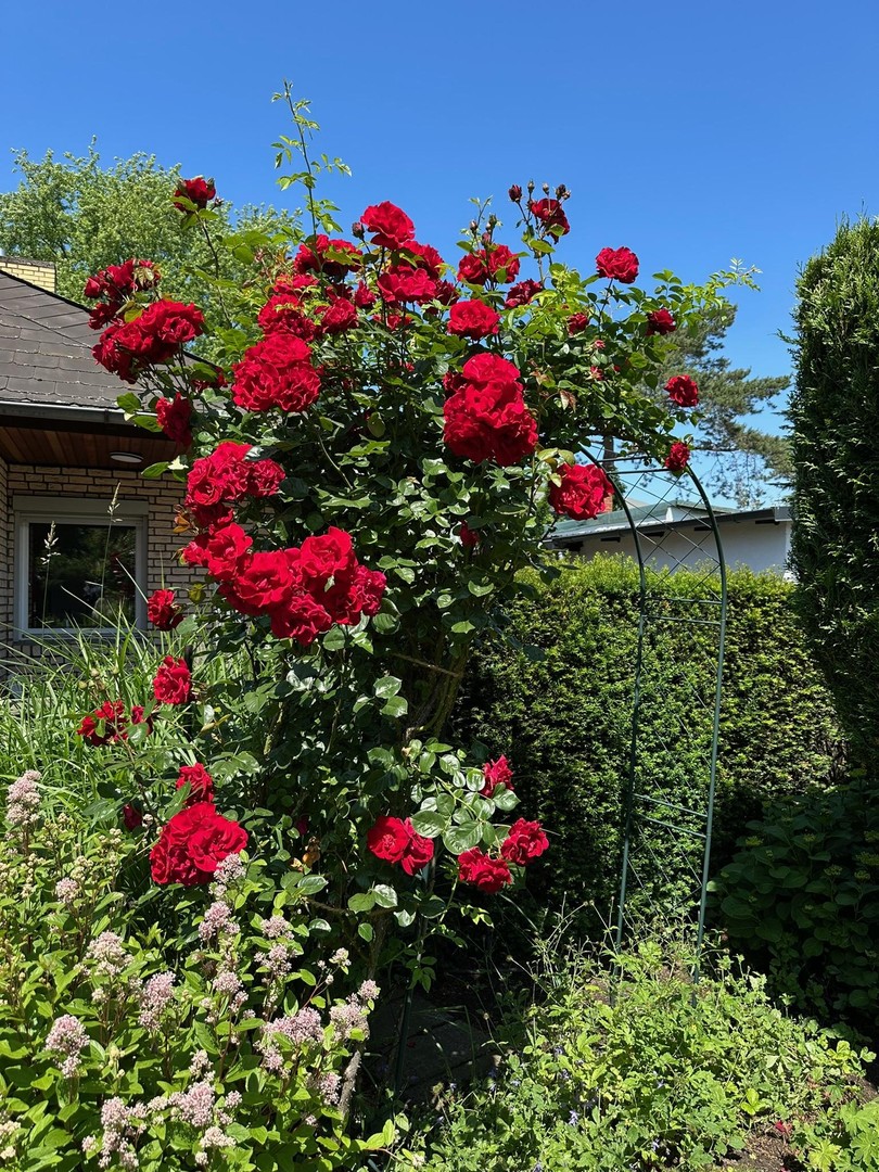 Property thumbnail 11