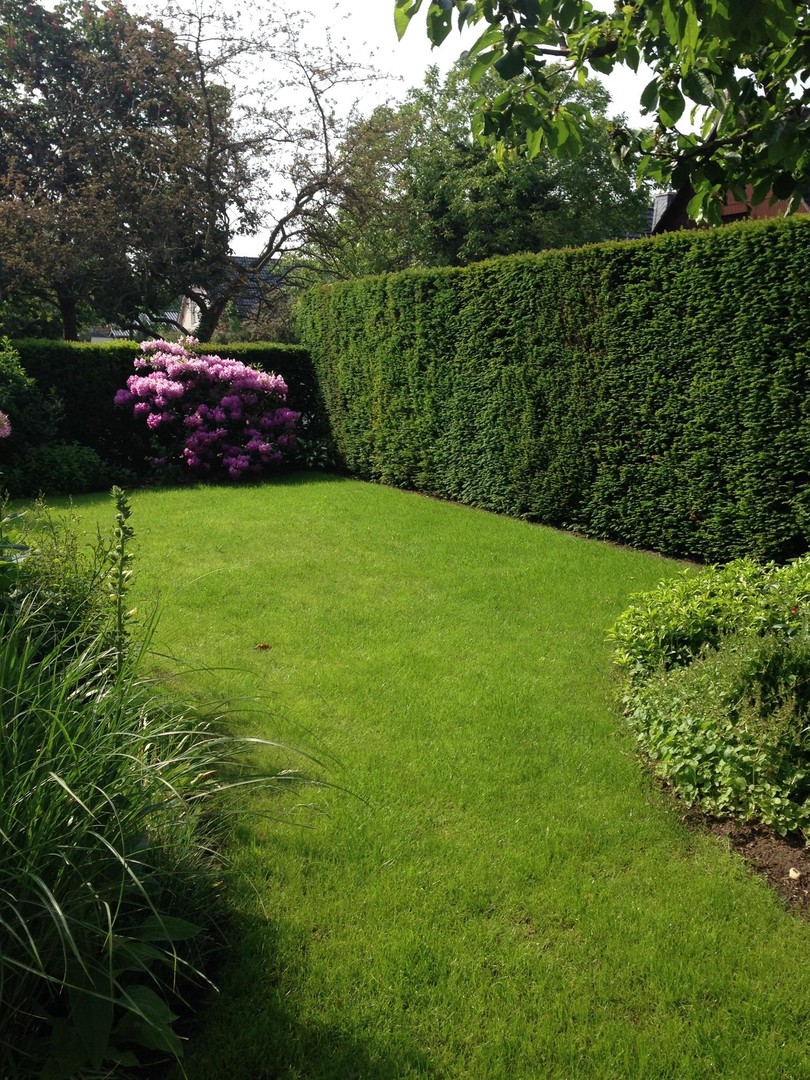 Property thumbnail 16