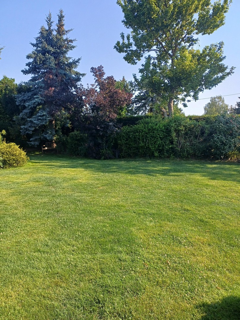 Property thumbnail 15