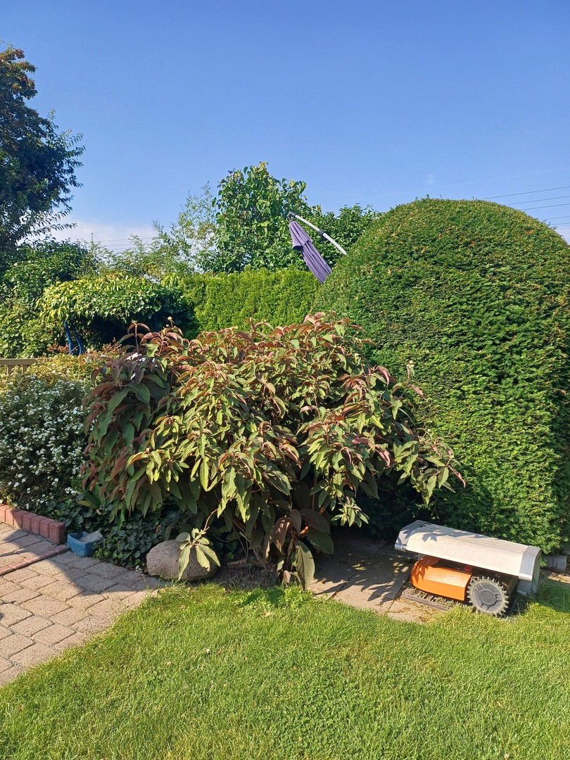 Property thumbnail 16