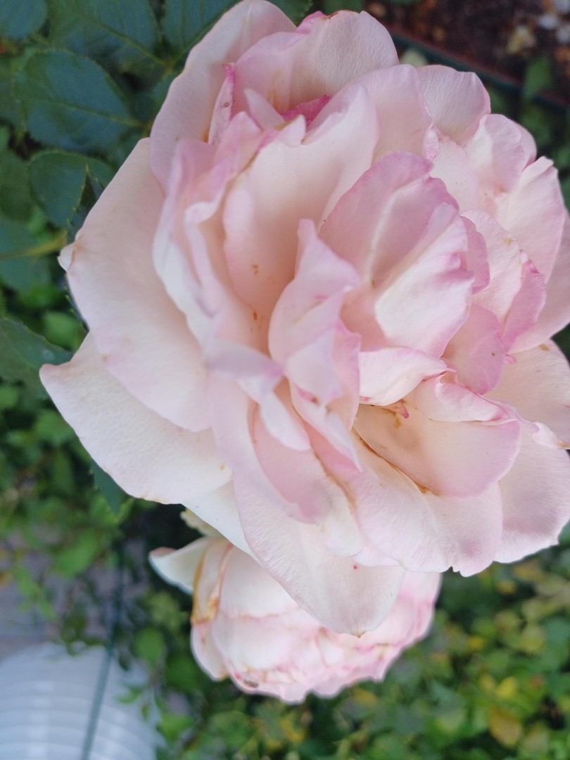 Property thumbnail 20