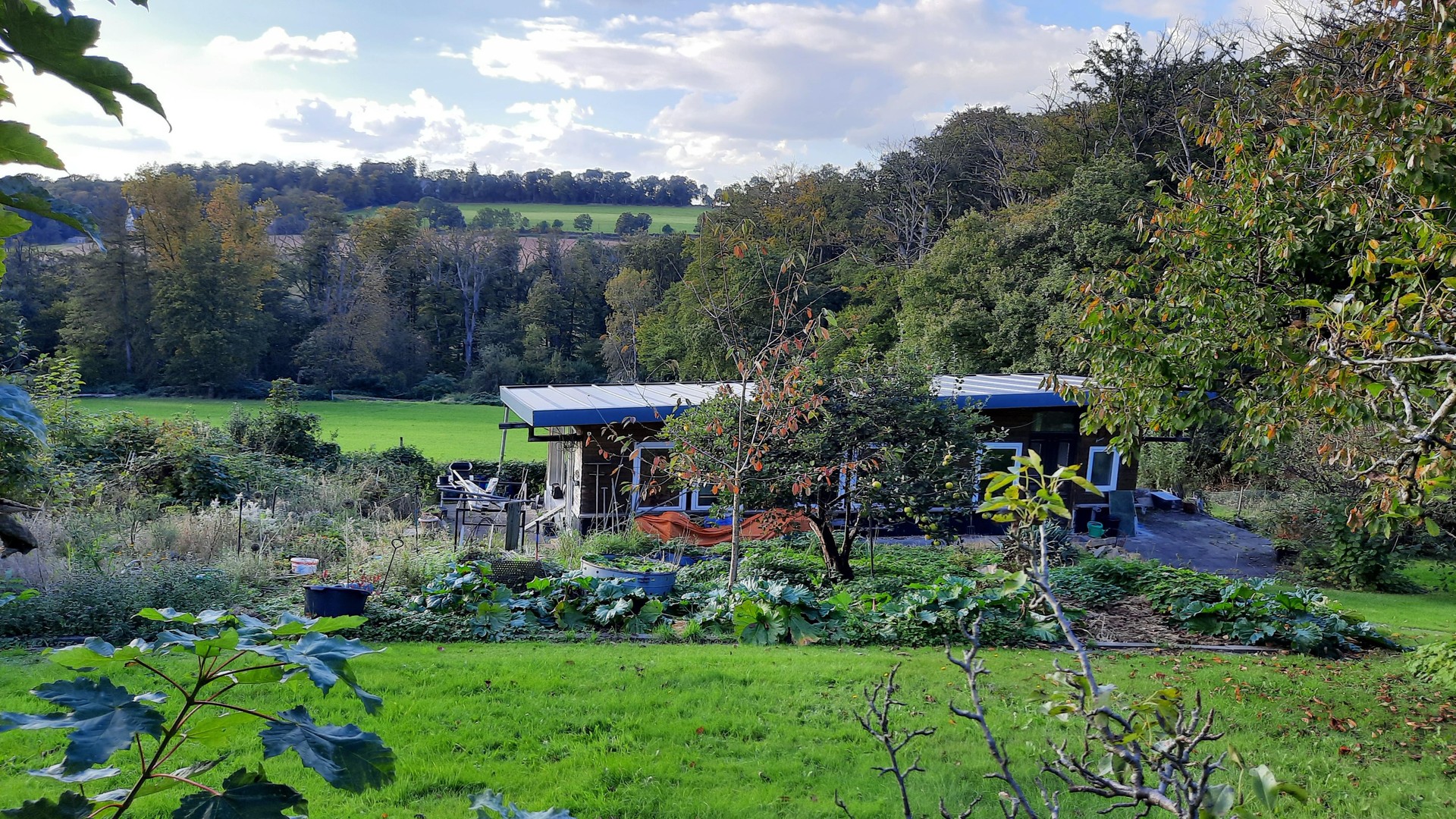 Property thumbnail 2