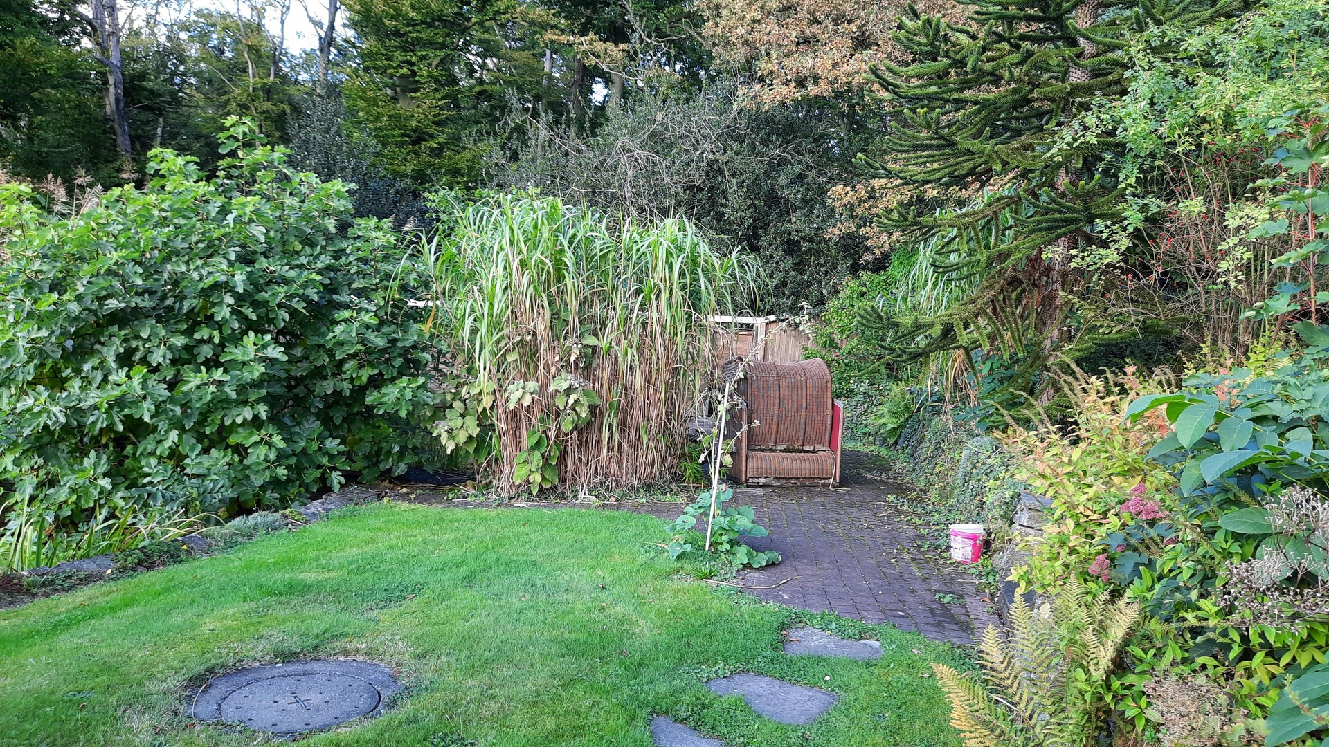 Property thumbnail 3