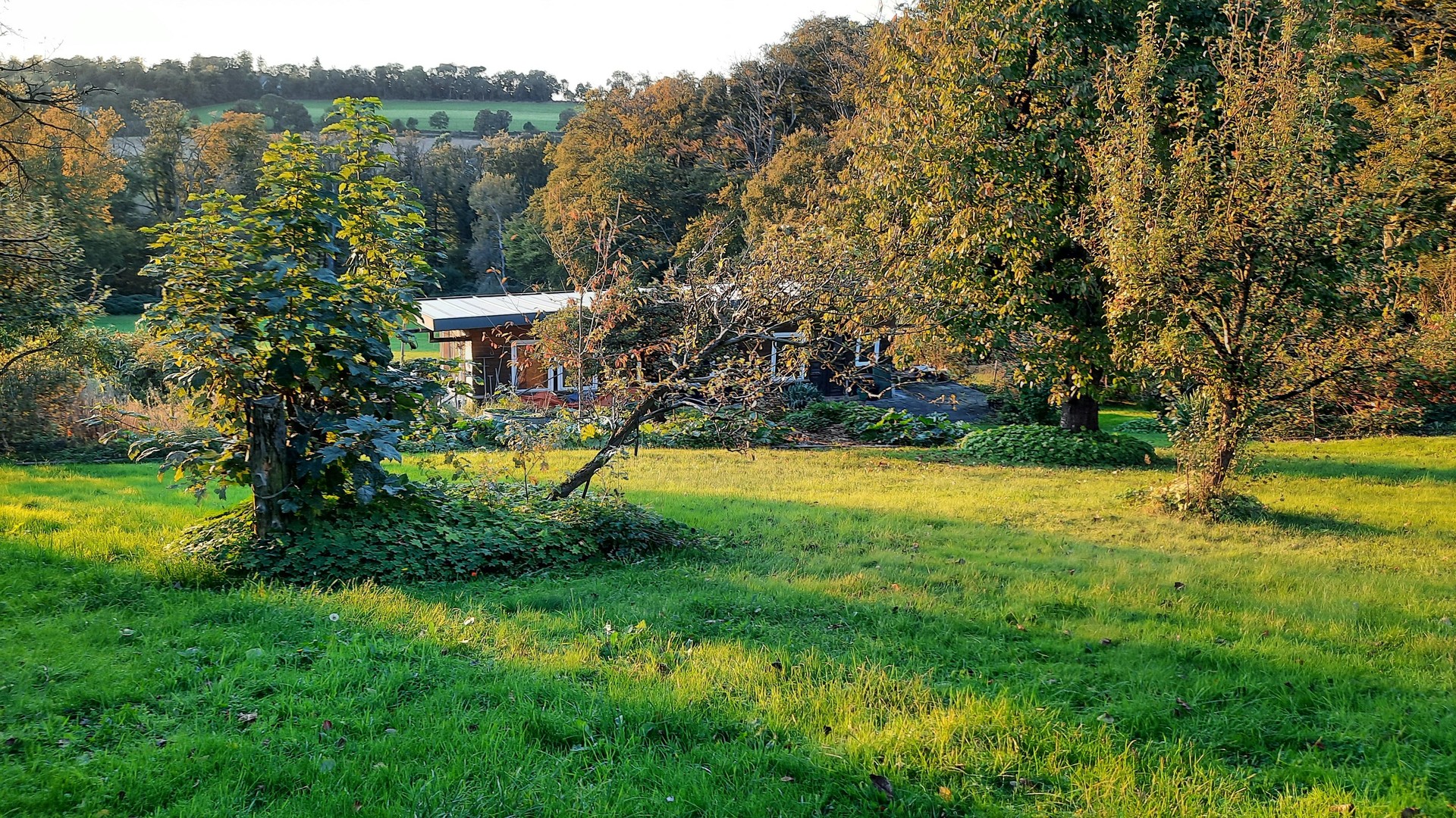 Property thumbnail 7