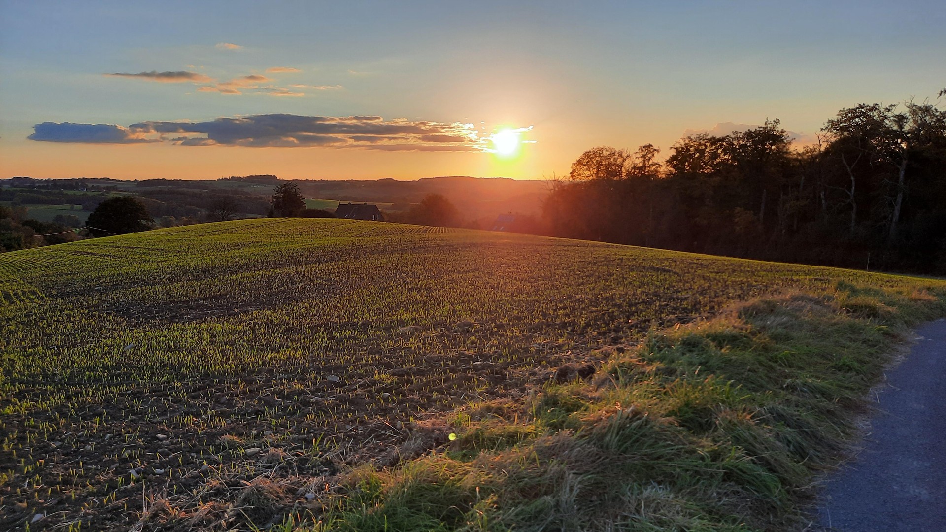 Property thumbnail 8