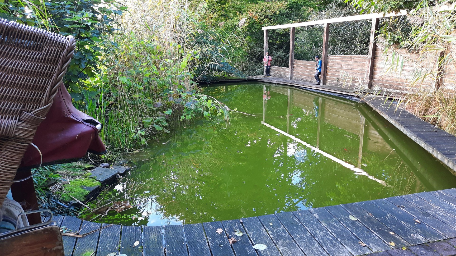 Property thumbnail 6