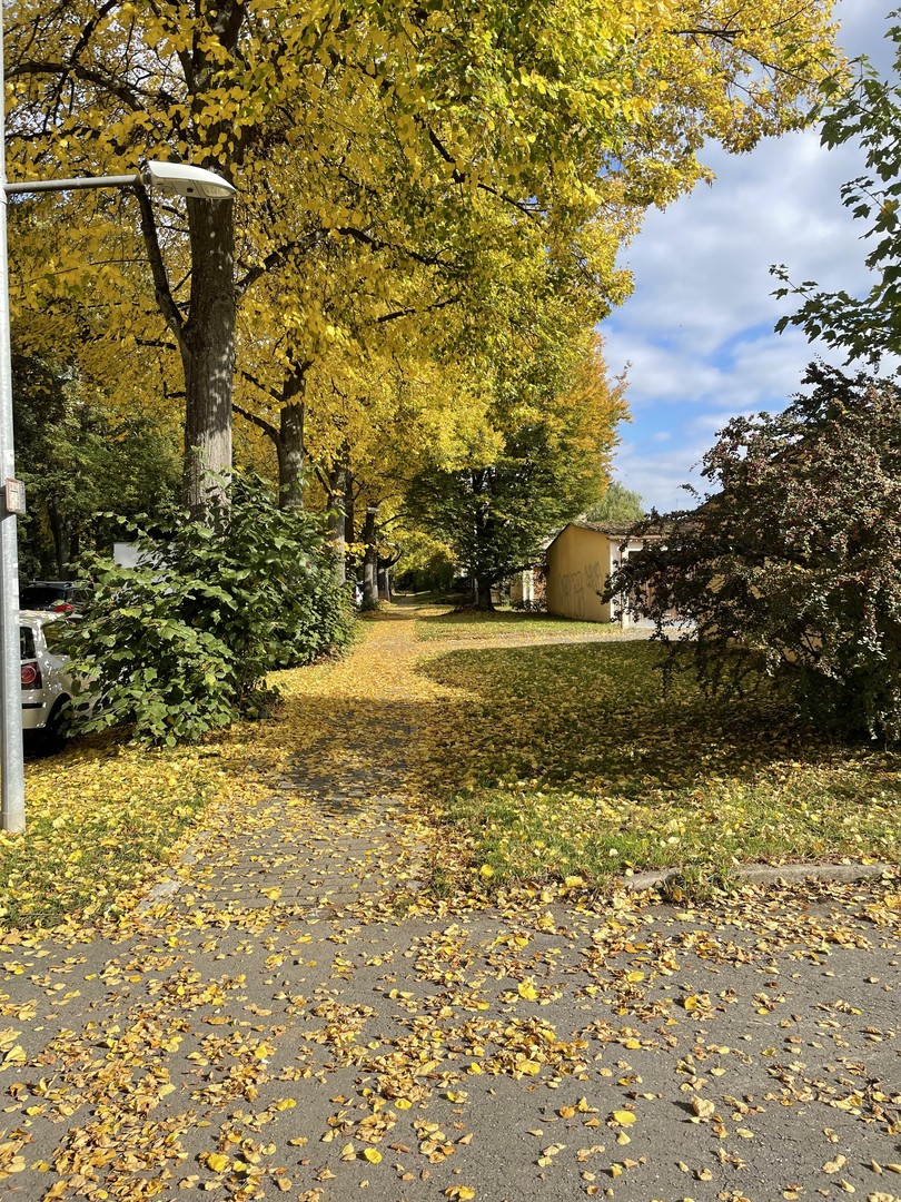 Property thumbnail 25