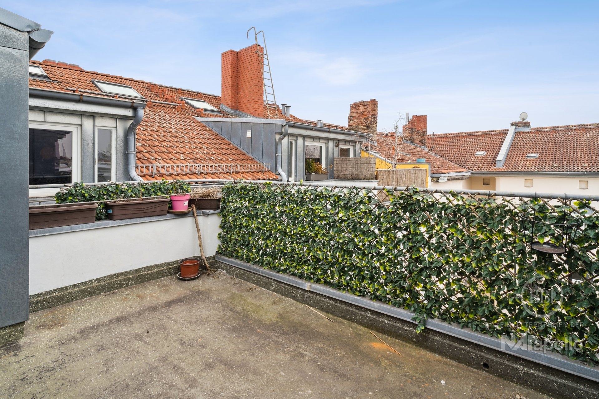 Property thumbnail 3