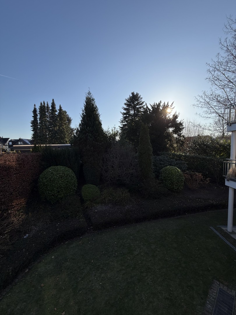 Property thumbnail 31