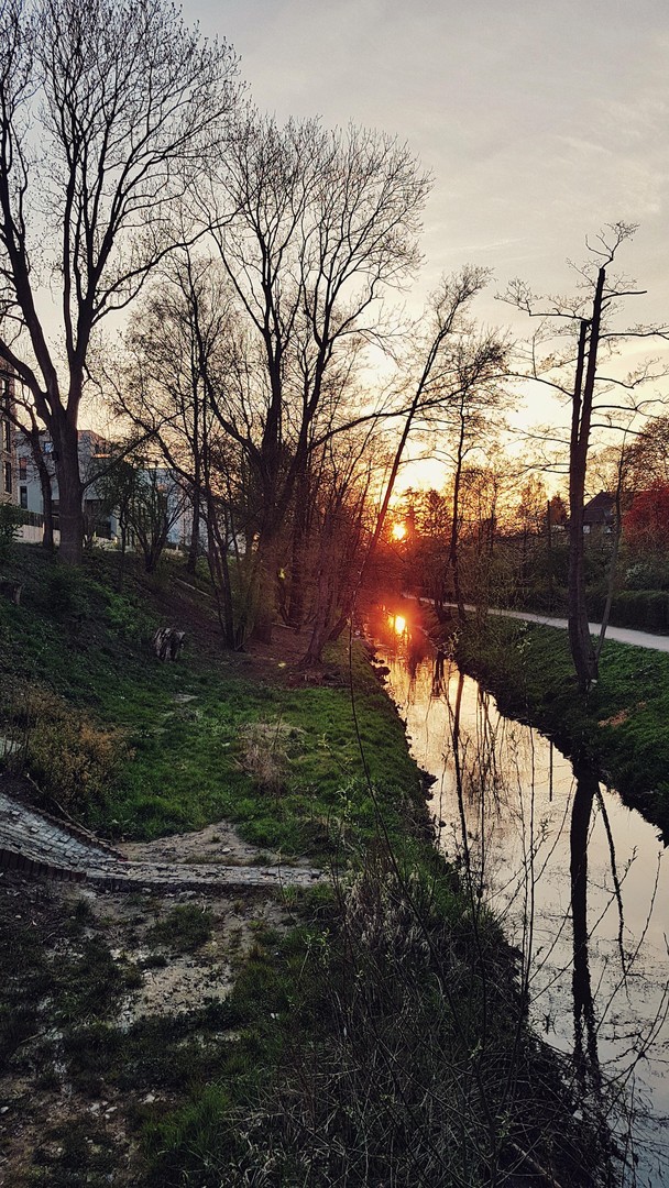 Property thumbnail 29