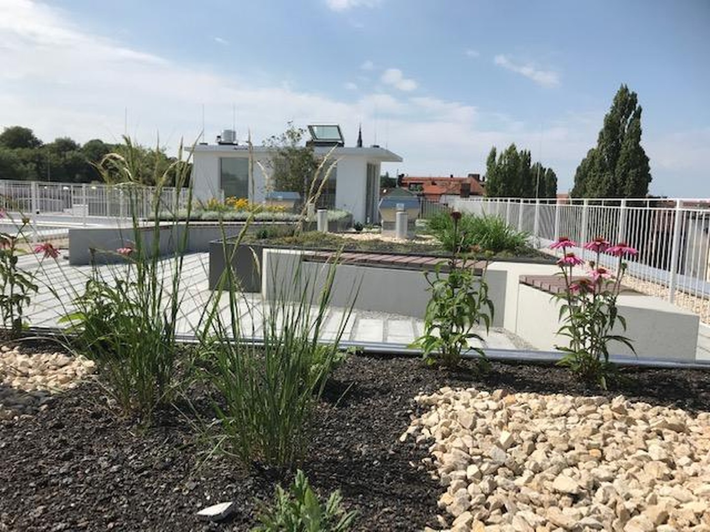 Property thumbnail 18