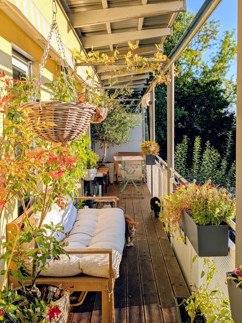 Property thumbnail 18