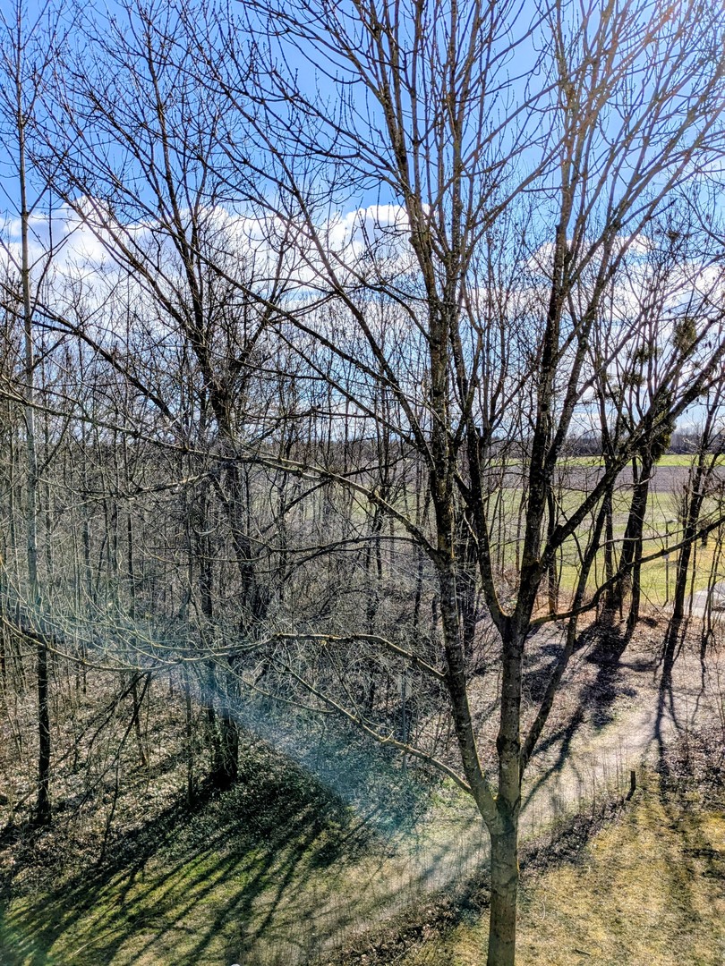 Property thumbnail 23