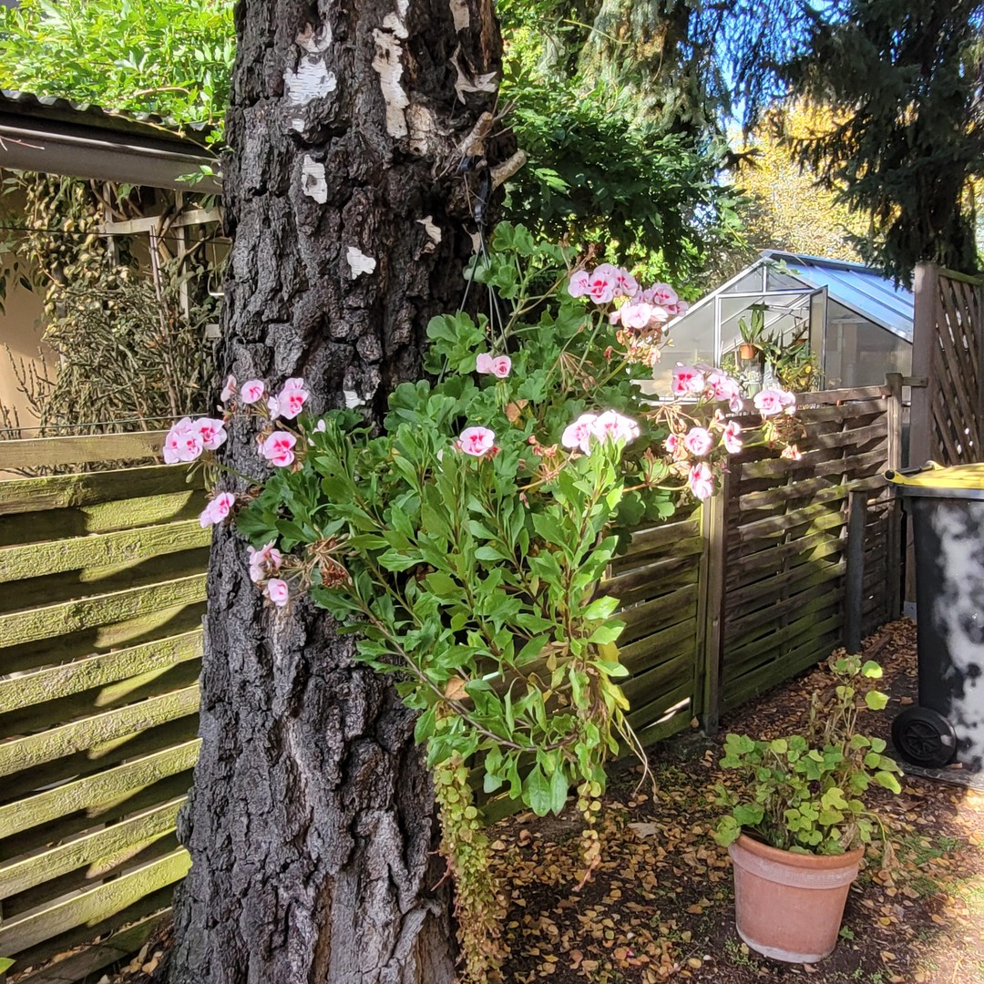 Property thumbnail 25