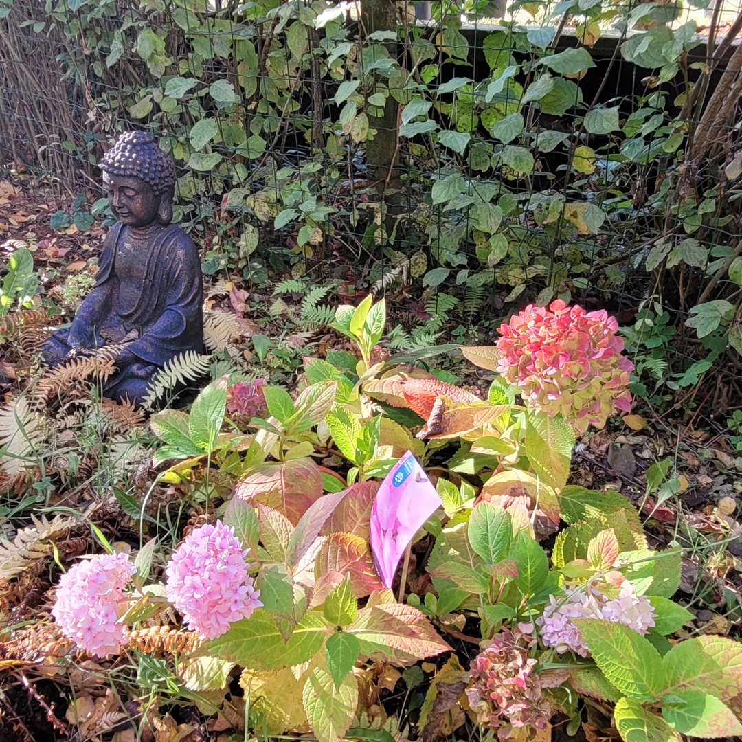 Property thumbnail 27