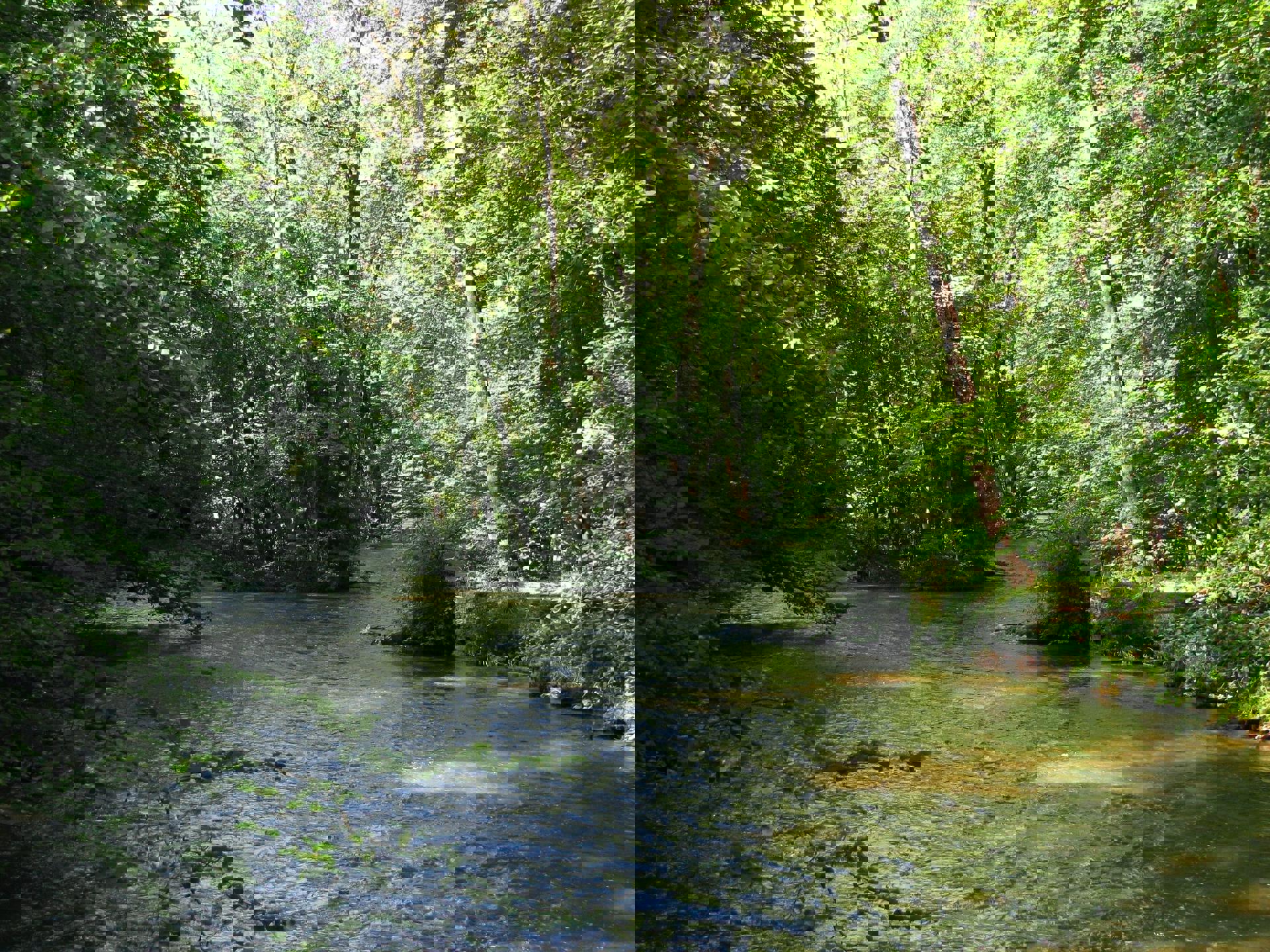 Immobilie in Gauting - 3 Wohnungen für ein ausgefallenes & urbanes Wohnen in Gauting  - Bild 1