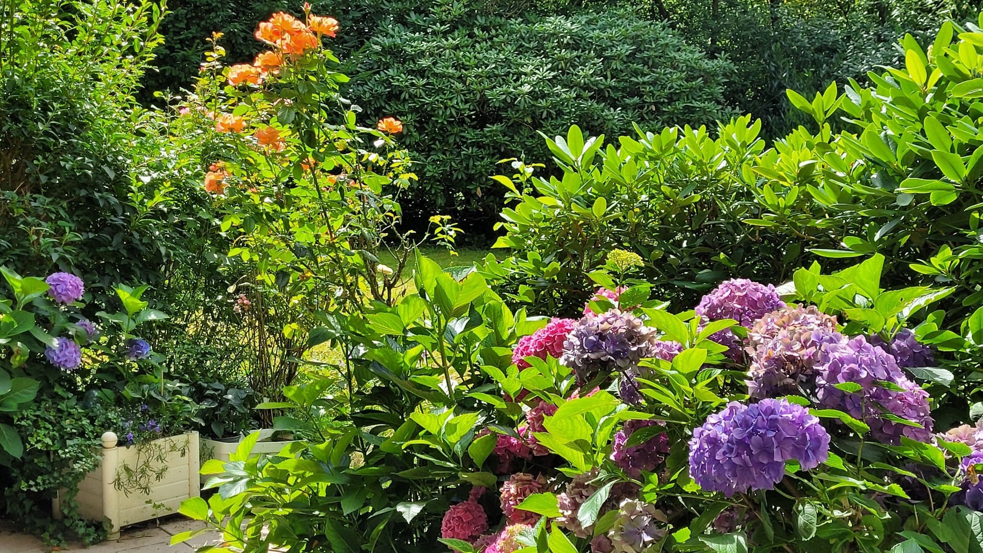 Property thumbnail 2