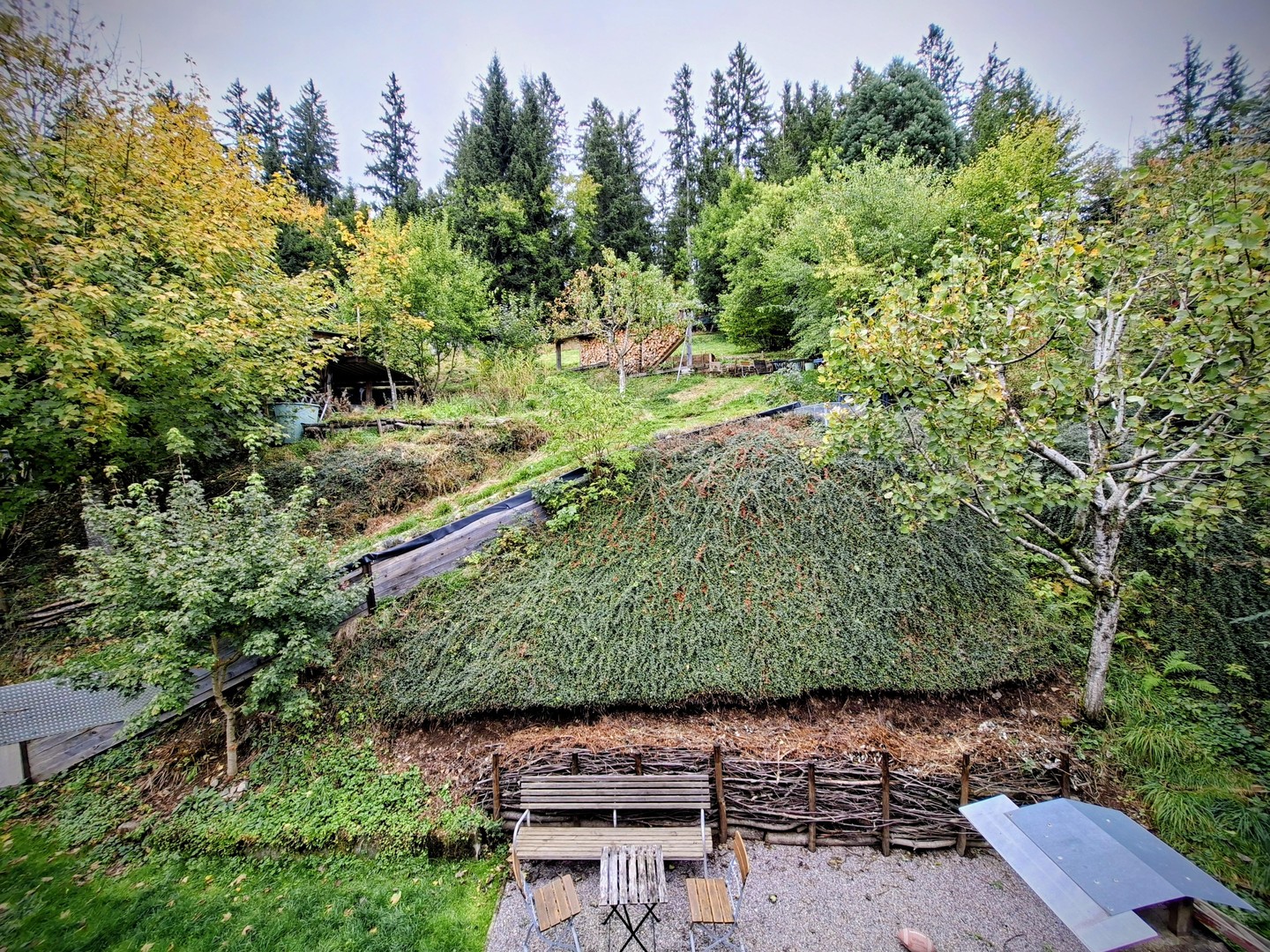 bg