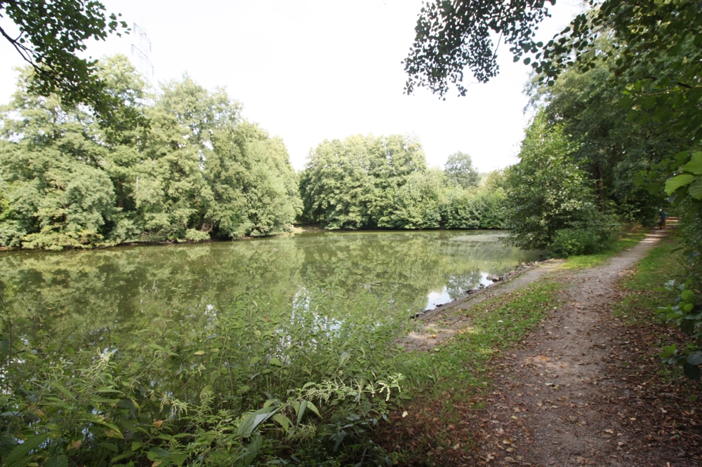 Große Eigentumswohnung in Osnabrück - Hochpaterre - mit Garten - schnell verfügbar – Osnabrück – Vorschaubild 26
