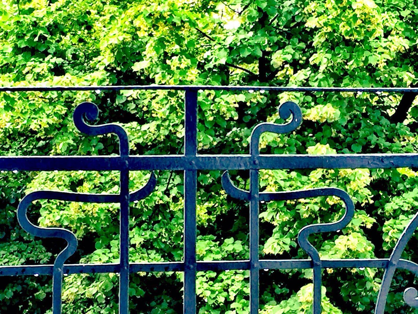 Property thumbnail 6