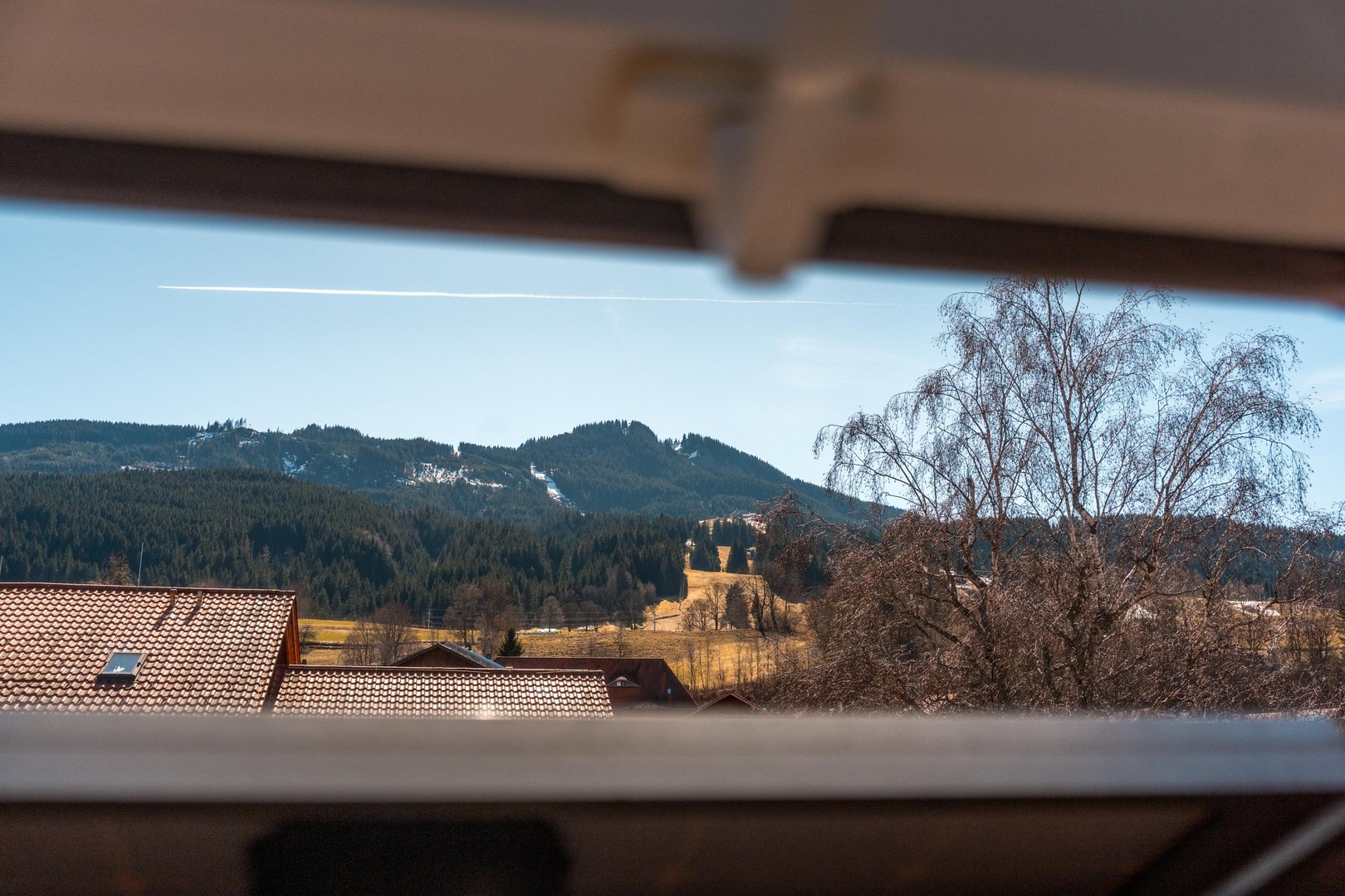 Property thumbnail 26