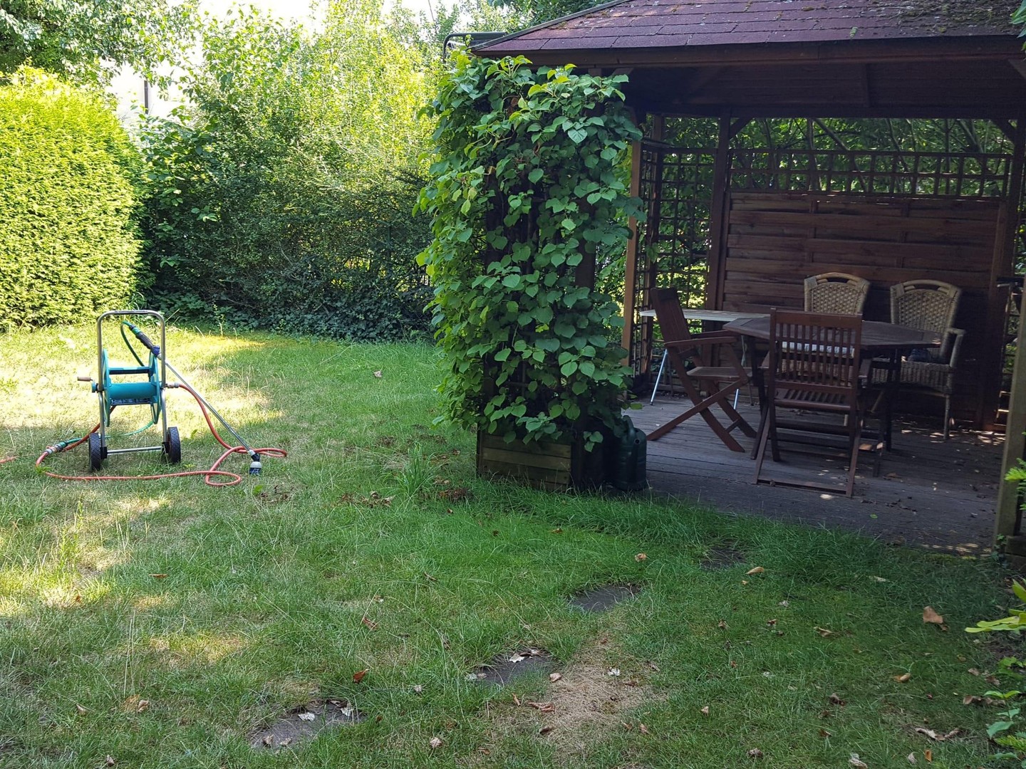 Property thumbnail 16