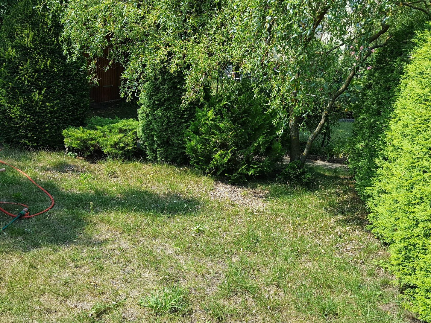 Property thumbnail 18